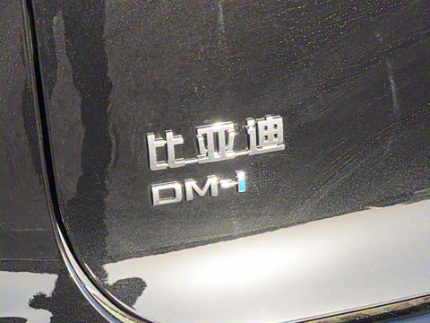 2025�� �Ǽݰ� DM-i 115KM �콢��