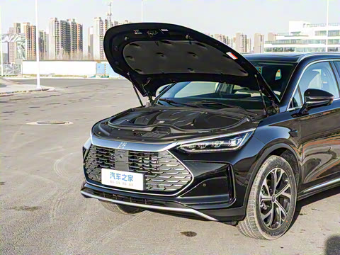 2025�� �Ǽݰ� DM-i 115KM �콢��