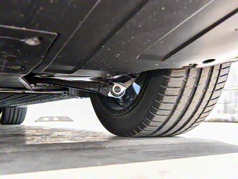 2025�� �������� Max �콢��