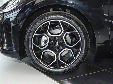 2025�� �������̰� 230�콢��