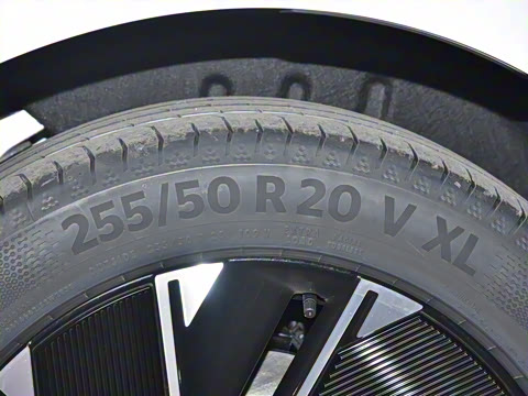 2024�� Max�����