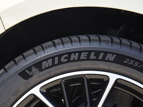 2025�� �������� Max �콢��