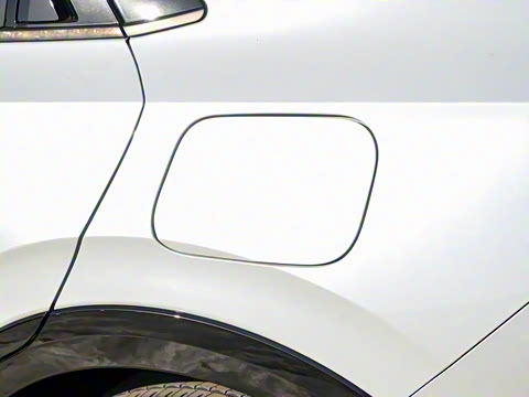 2024�� ����