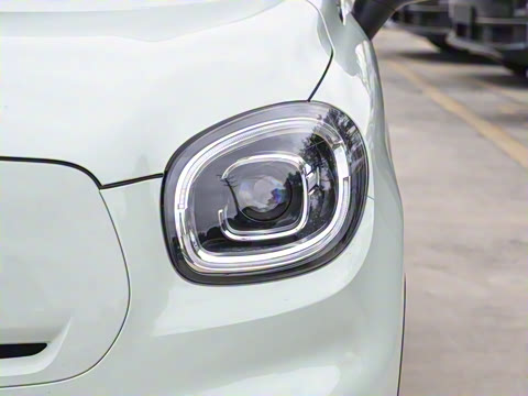 2025�� 310������