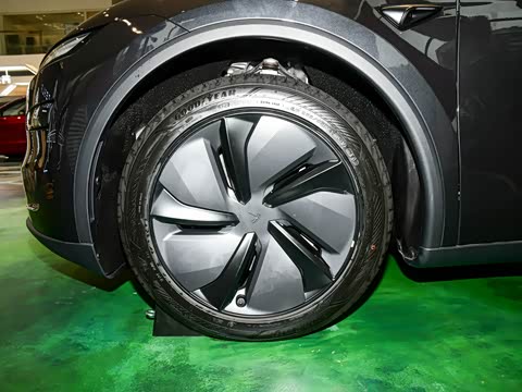 2025�� ����������