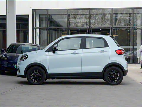 2025�� 310������