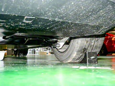 2025�� ����������