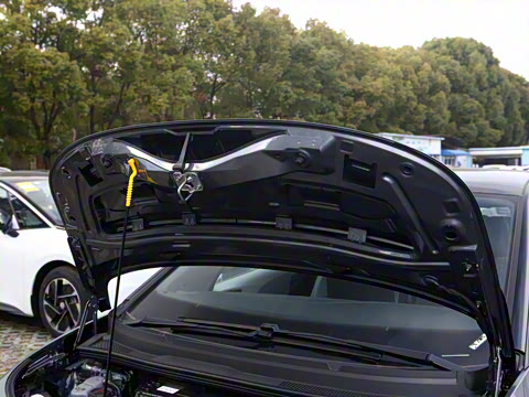 2025�� �Ŀ� ������ ���ǰ�