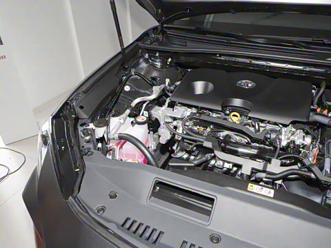 2025�� ˫�� 2.0HG ��԰�