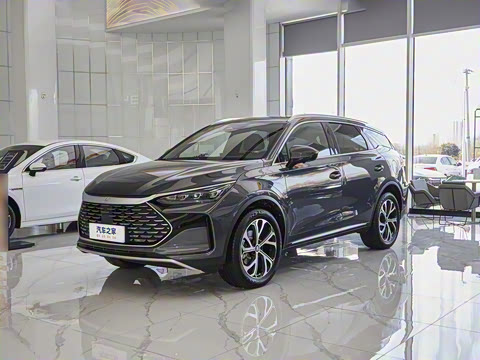 2025�� DM-i 115KM �콢��