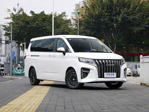 2025�� 2.0L �Զ���������� 9��