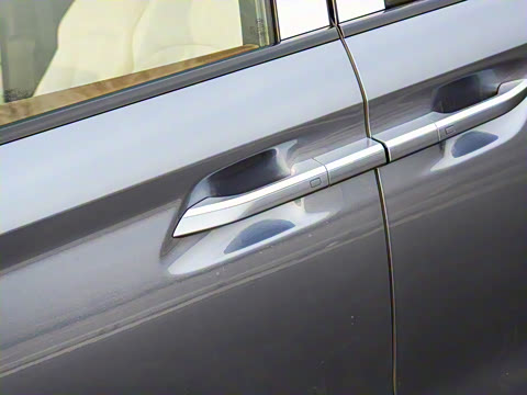 2025�� DM-i 1.5T 100km ��Խ��