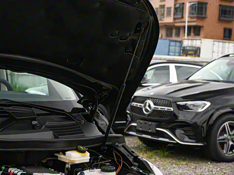 2025�� V 300 L ����������