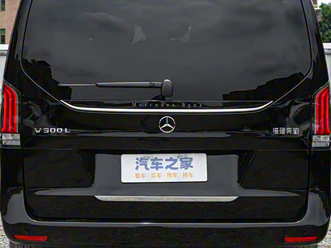 2025�� V 300 L ����������