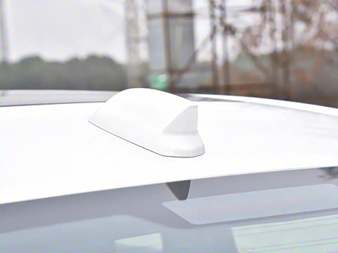 2025�� 28T �����˶���