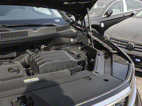 2025�� 530TSI �����콢ʤ��Pro ������ 6��