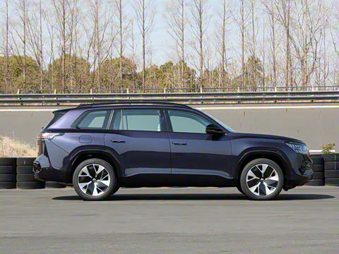 2025�� ;�� Pro 450TSI �����ݺ��