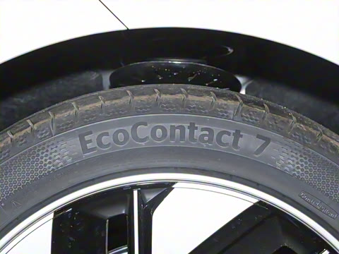 2025�� 636Max���Ȱ� 6��