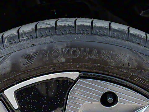 2024�� ������