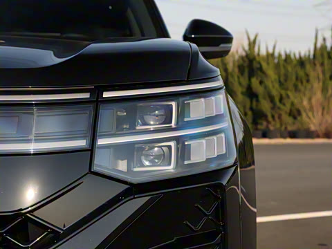 2025�� ;�� Pro 450TSI �����Ƿ��