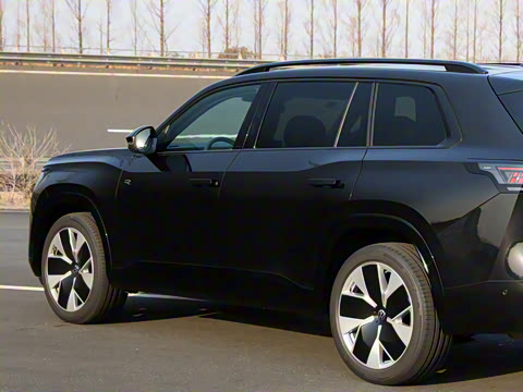 2025�� ;�� Pro 450TSI �����Ƿ��