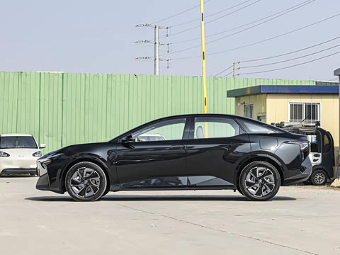 2024�� ������