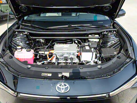 2024�� ������