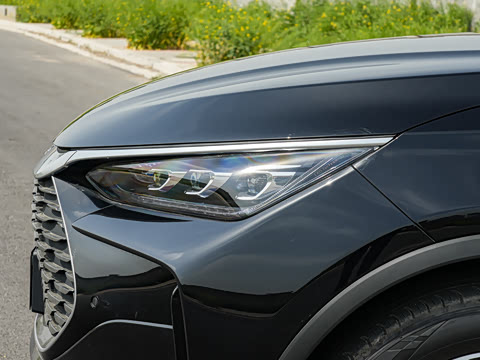 2025�� DM-i 175KM �캽��