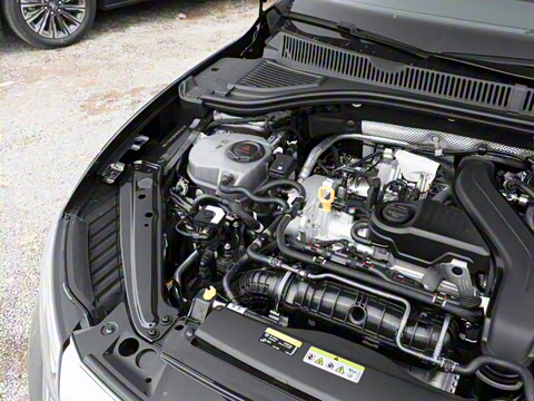 2025�� �Ŀ� 300TSI DSG��Խ��