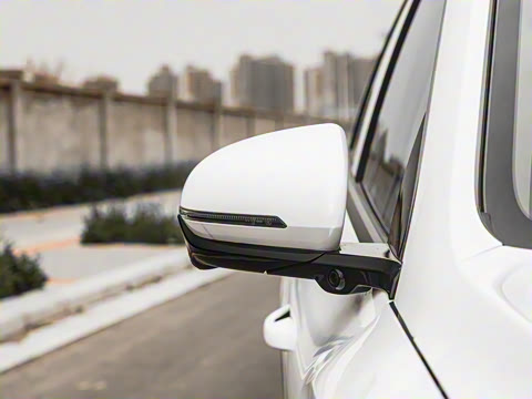 2025�� DM-i �Ǽݰ� 115KM�콢��