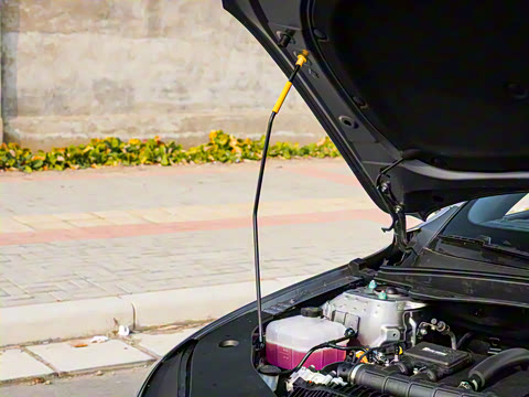 2025�� DM-i �Ǽݰ� 55KM������