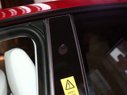 2025�� ����������