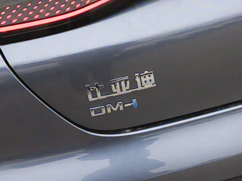 2025�� DM-i �Ǽݰ� 55KM������