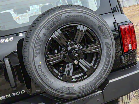 2025�� 2.0T ��ս��