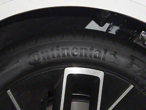 2025�� Max �����