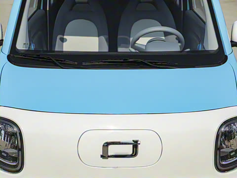 2025�� 222km ������