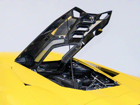 2025�� ������