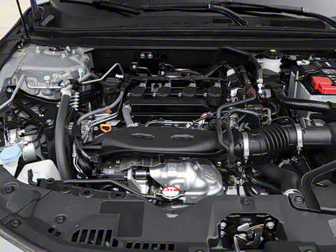 2025�� 260TURBO ��Ӣ��