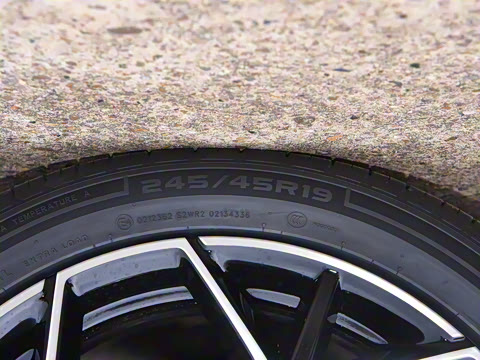 2025�� �������̰� 230�����