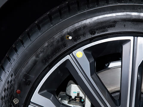 2025�� ��Խ��