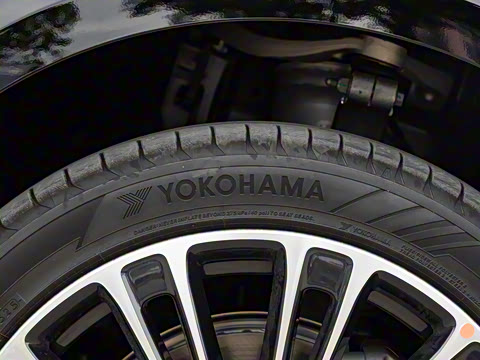 2025�� ���� Max