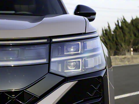 2025�� ;�� Pro 450TSI �����Ƿ��