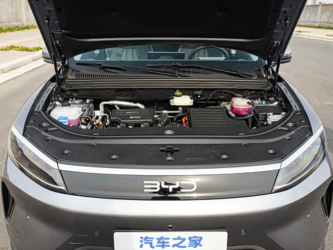 2025�� DM-i �Ǽݰ� 115KM������