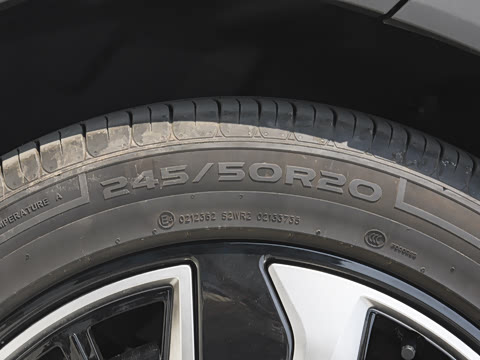 2025�� 135 �����ܼ����״��