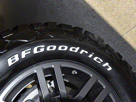 2025�� Trialmaster��