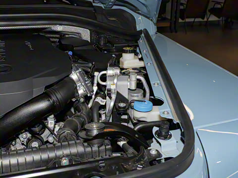 2025�� Trialmaster��