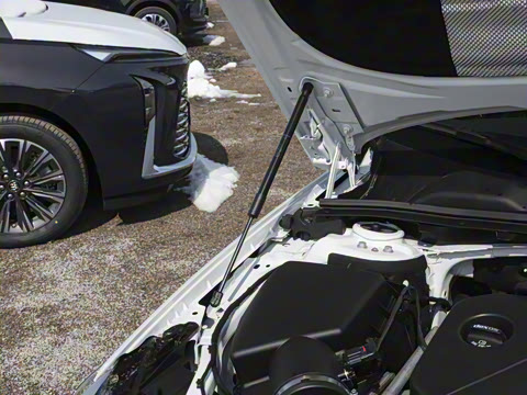 2024�� �Ŀ� 25T ������