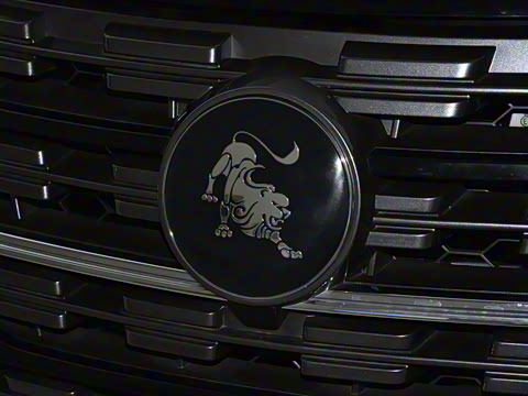 2025�� 2.0L �ֶ�������CNG 7��