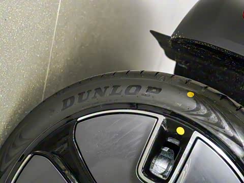 2024�� �鶯������