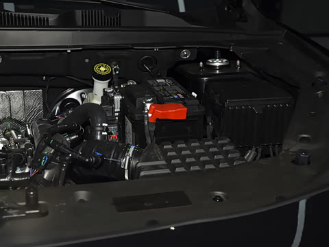 2025�� �ھ��� 1.5T �ֶ��ھ� 7��